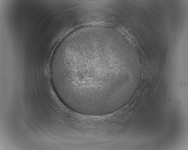 X0000074930002200609221651