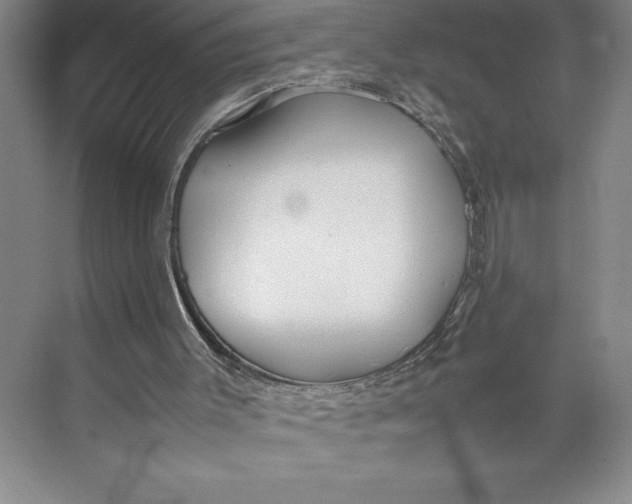 X0000074930003200609221651