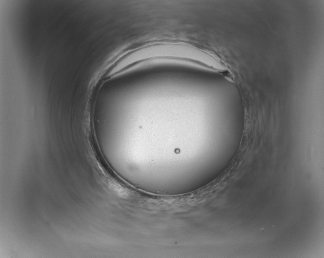 X0000074930005200609221651