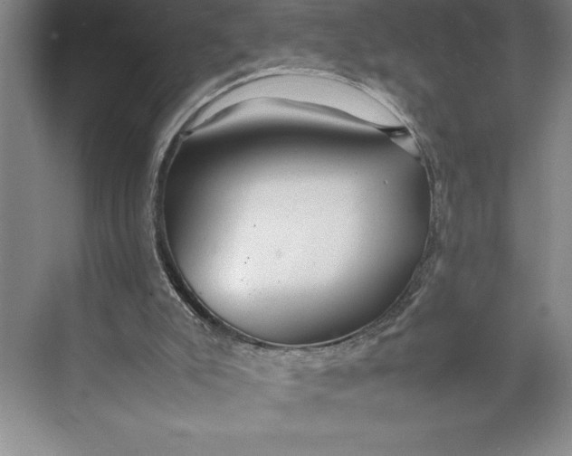 X0000074930007200609221651