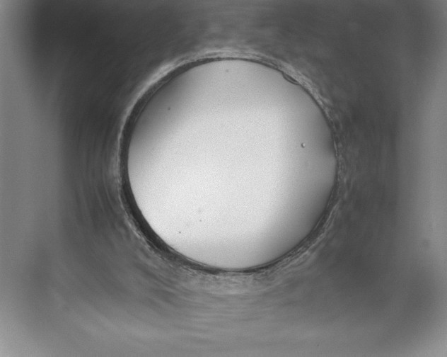 X0000074930008200609221651