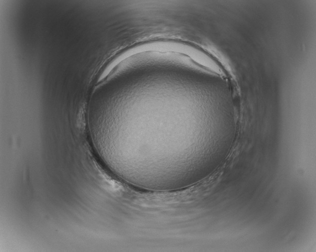 X0000074930009200609221651