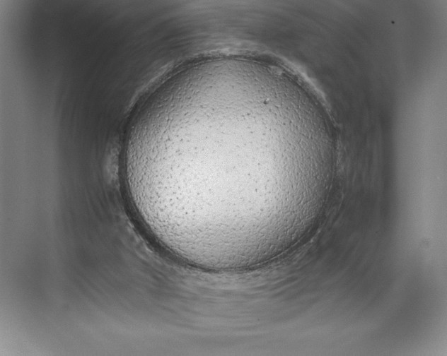 X0000074930010200609221651