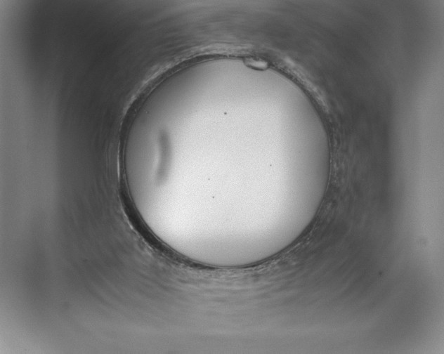 X0000074930011200609221651