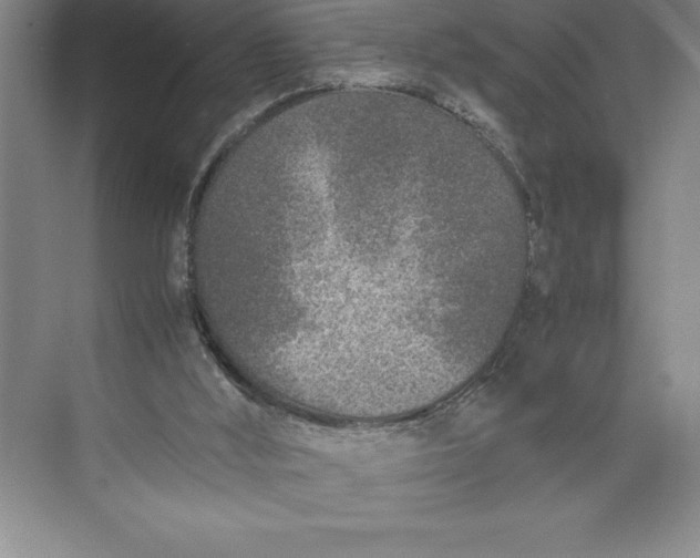 X0000074930012200609221651