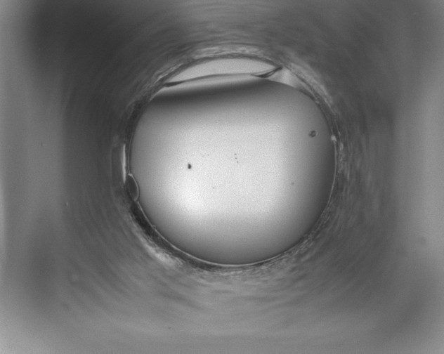 X0000074930013200609221651