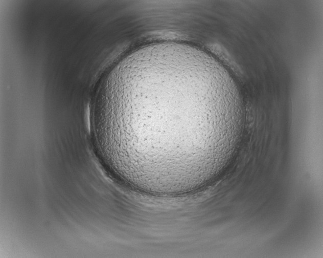 X0000074930014200609221651