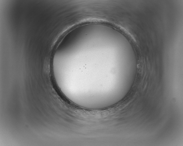 X0000074930015200609221651