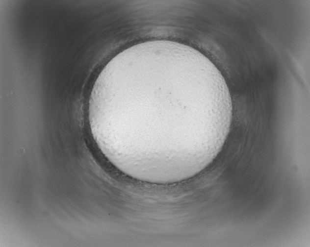 X0000074930016200609221651