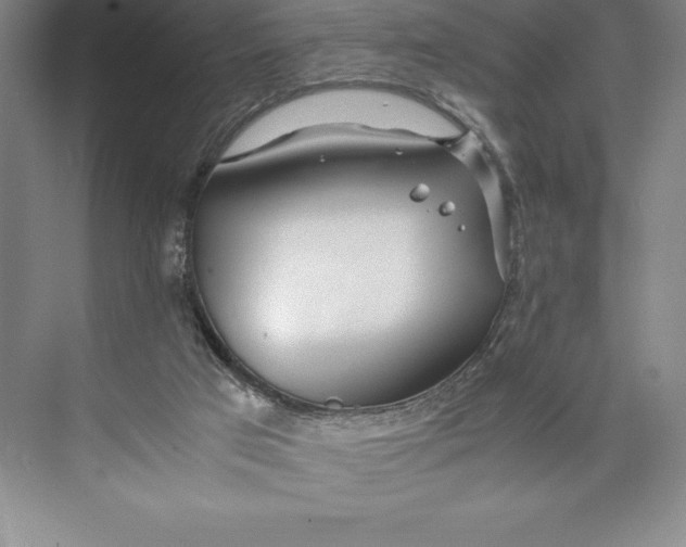 X0000074930017200609221651