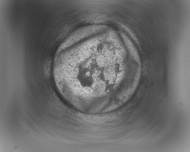 X0000074930018200609221651