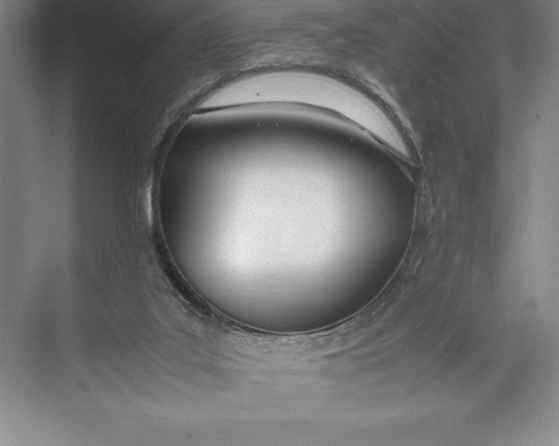 X0000074930019200609221651