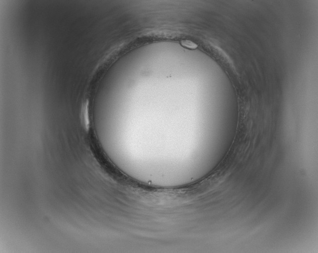 X0000074930020200609221651