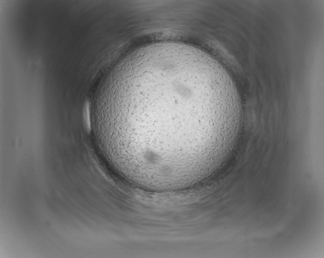 X0000074930022200609221651