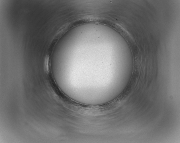 X0000074930024200609221651