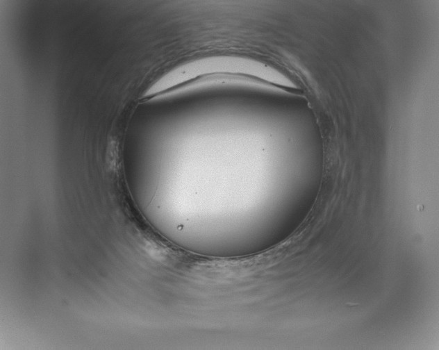 X0000074930025200609221651