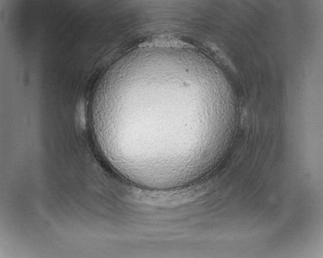 X0000074930026200609221651