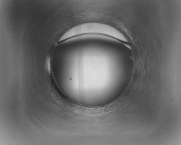 X0000074930027200609221650