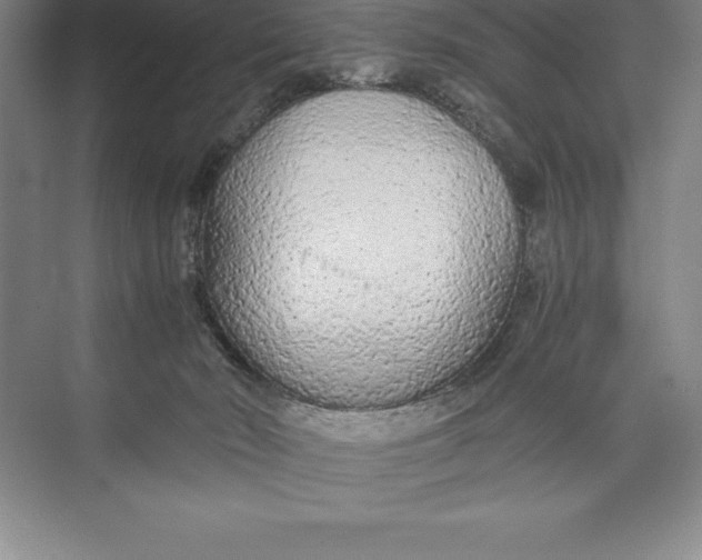 X0000074930030200609221650