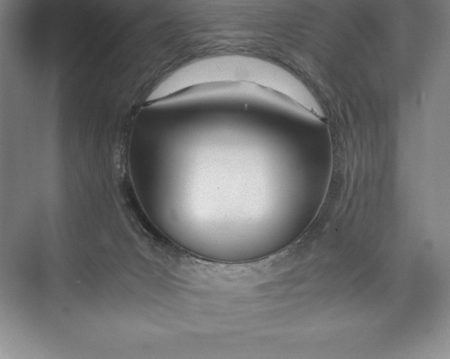 X0000074930031200609221650