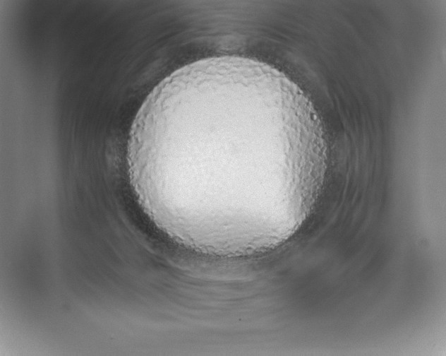 X0000074930032200609221650