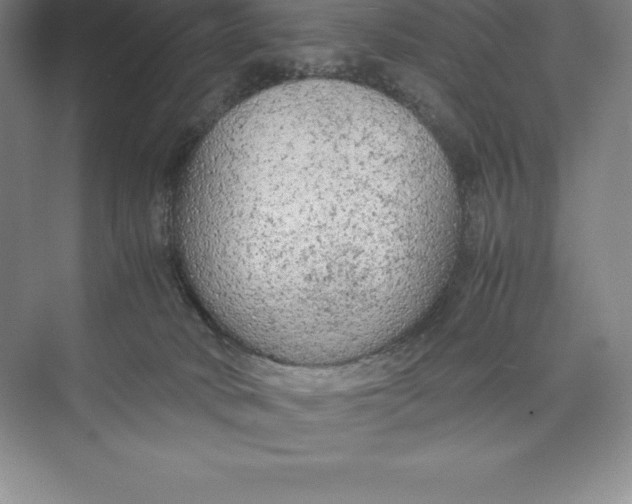 X0000074930034200609221650