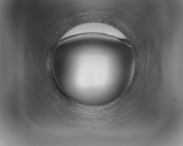 X0000074930035200609221650