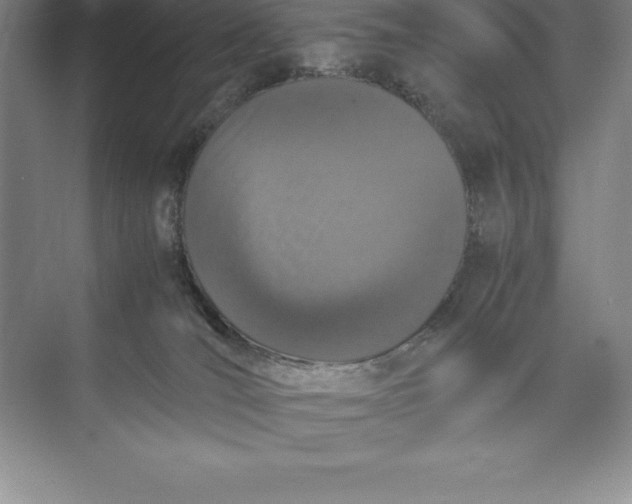 X0000074930036200609221650