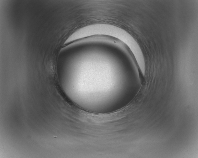 X0000074930039200609221650