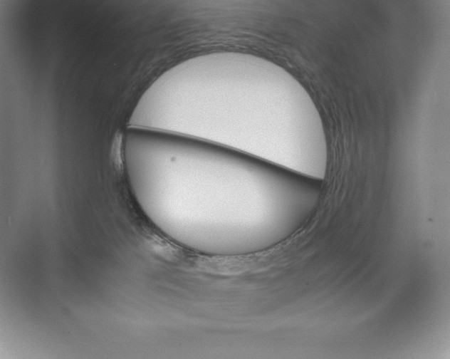 X0000074930041200609221650