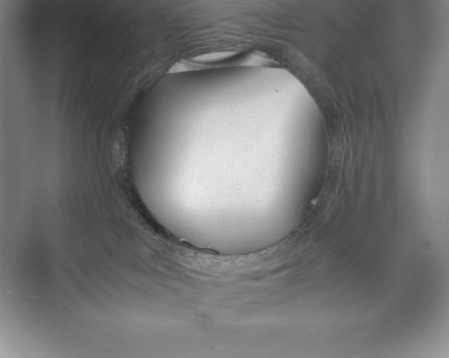 X0000074930043200609221650