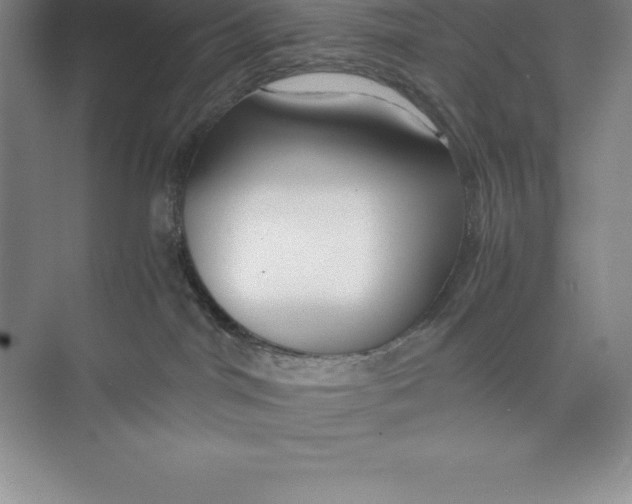 X0000074930044200609221650