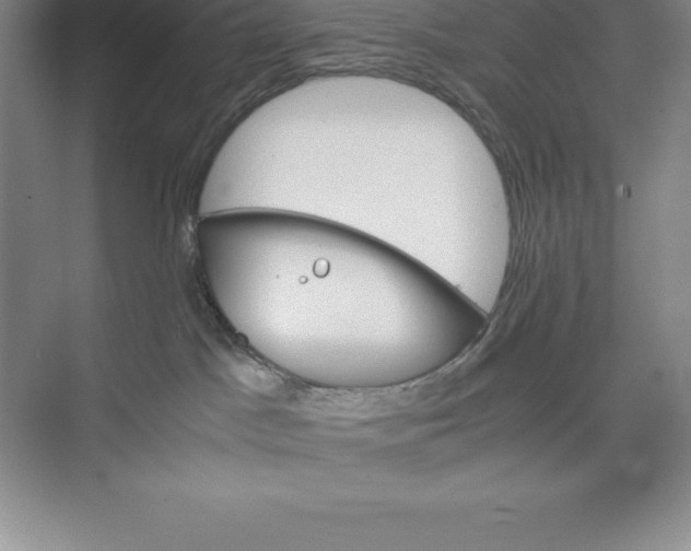 X0000074930045200609221650