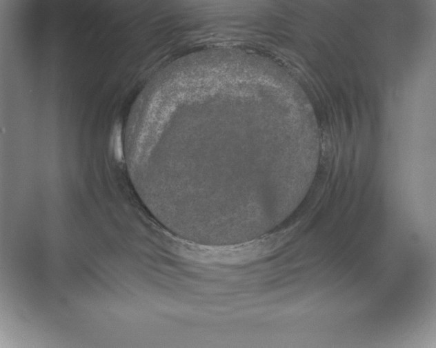 X0000074930046200609221650