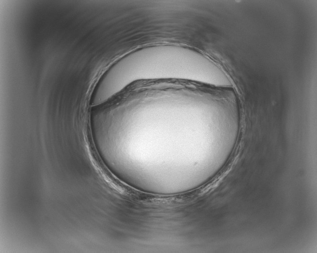 X0000074930049200609221649