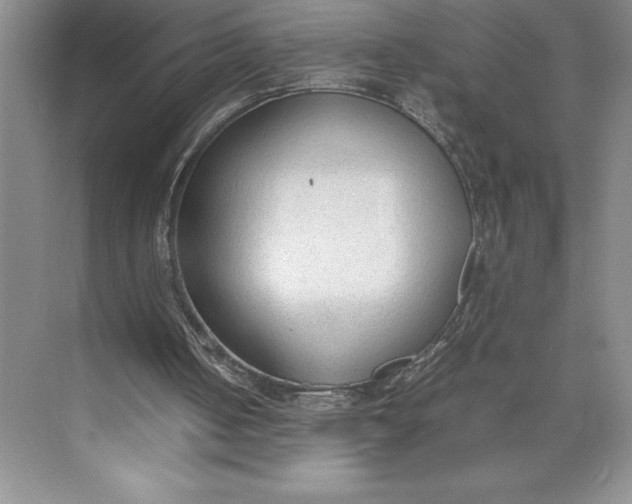 X0000074930050200609221649