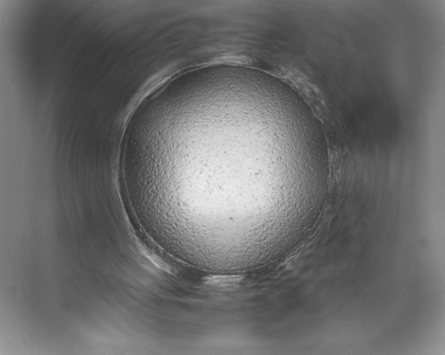 X0000074930051200609221649