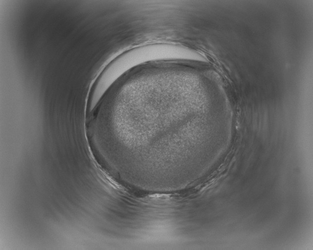 X0000074930052200609221649