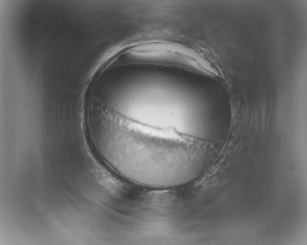 X0000074930054200609221649