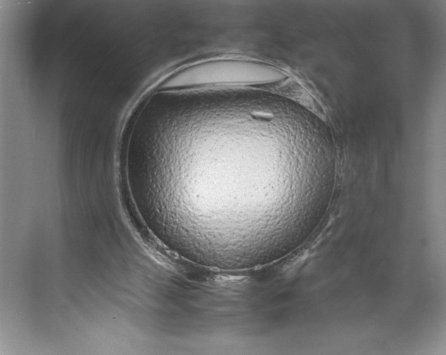 X0000074930055200609221649