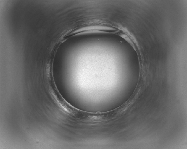 X0000074930057200609221649