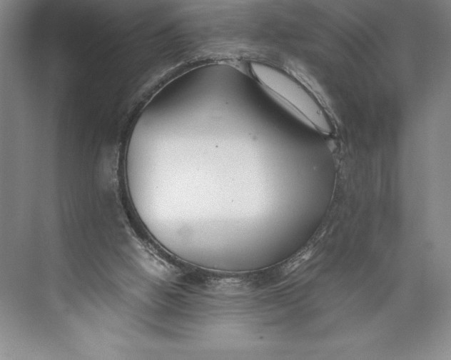 X0000074930058200609221649