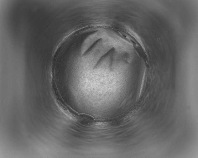 X0000074930059200609221649