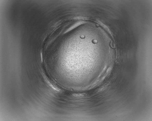 X0000074930061200609221650