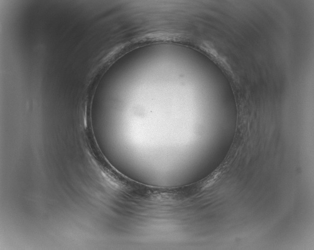 X0000074930062200609221650