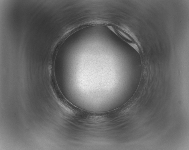 X0000074930063200609221650