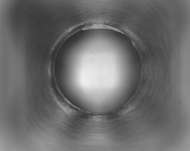 X0000074930064200609221650