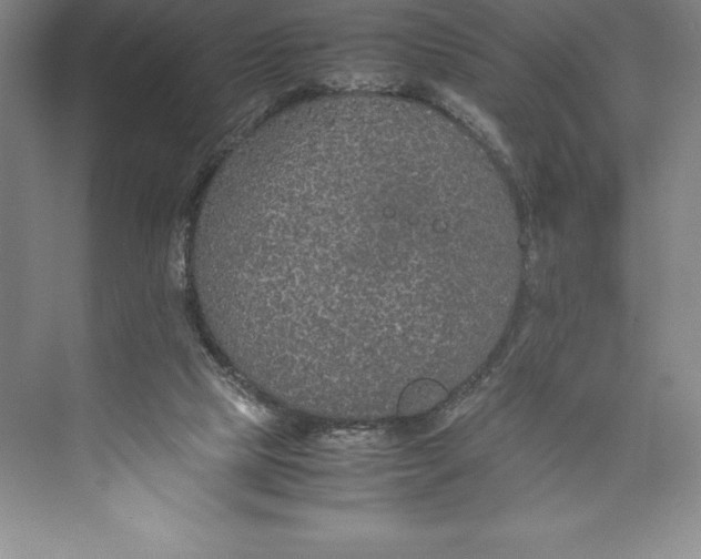 X0000074930065200609221650