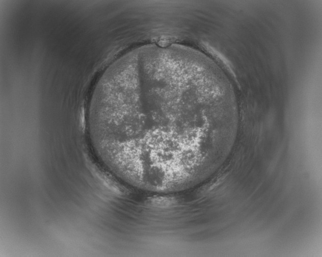 X0000074930067200609221650