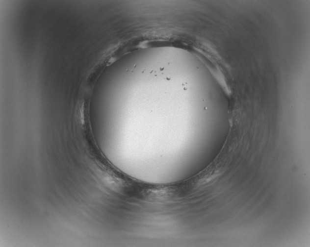 X0000074930068200609221650